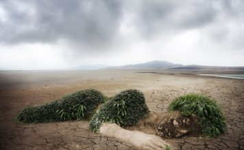 Según OMS, 92% de personas en el mundo respira aire contaminado - Itagüí Hoy