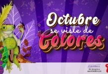 Octubre se viste de colores - Medellín Hoy