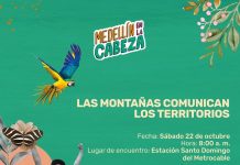 Medellín en la cabeza - Medellín Hoy