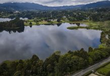 EPM y Cornare protegieron 3.207 hectáreas de bosques en zonas de influencia de los embalses - Medellín Hoy