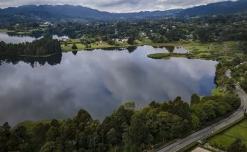 EPM y Cornare protegieron 3.207 hectáreas de bosques en zonas de influencia de los embalses EPM y Cornare protegieron 3.207 hectáreas de bosques en zonas de influencia de los embalses - Medellín Hoy