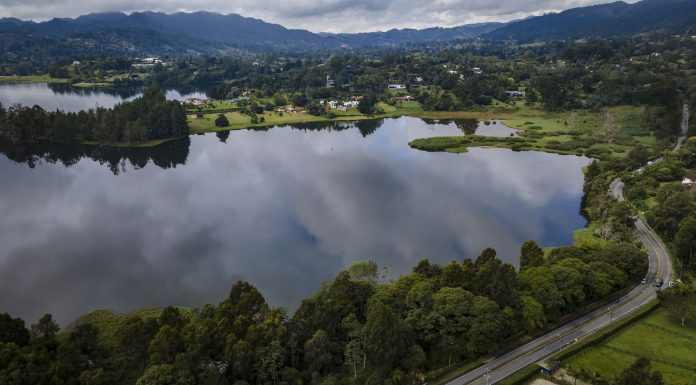 EPM y Cornare protegieron 3.207 hectáreas de bosques en zonas de influencia de los embalses - Medellín Hoy