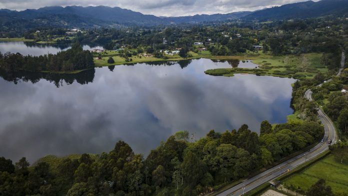 EPM y Cornare protegieron 3.207 hectáreas de bosques en zonas de influencia de los embalses - Medellín Hoy