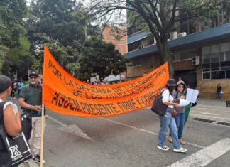 Hoy los maestros estarán en paro: Fecode marcha contra crisis de salud Maestros