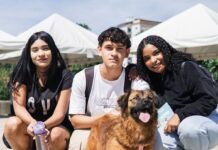 Adoptatón en Plaza Mayor ofrece 80 perros y gatos y rechaza la pólvora