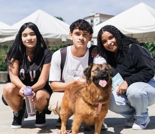 Adoptatón en Plaza Mayor ofrece 80 perros y gatos y rechaza la pólvora