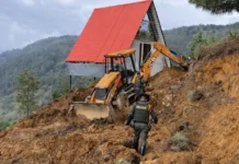 Desmontan glamping ilegal