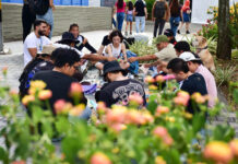 ¡Ojo guías turísticos! Medellín abre formación gratis sobre memoria, conflicto y paz