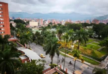 ¡Cayó alias “El Flaco”!