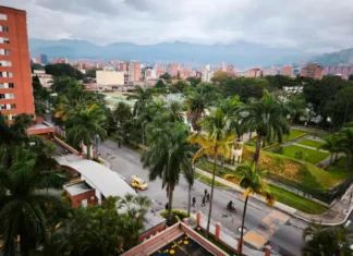 ¡Cayó alias “El Flaco”!