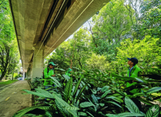 Medellín estrena riego “desde el aire” para salvar miles de plantas riego “desde el aire”