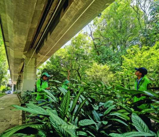 Medellín estrena riego “desde el aire” para salvar miles de plantas riego “desde el aire”