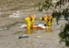 El río Medellín ya dejó 74 cuerpos en menos de dos años: crece la alarma en el Valle de Aburrá El río Medellín ya dejó 74 cuerpos en menos de dos años: crece la alarma en el Valle de Aburrá