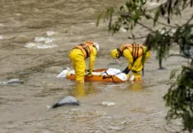 El río Medellín ya dejó 74 cuerpos en menos de dos años: crece la alarma en el Valle de Aburrá El río Medellín ya dejó 74 cuerpos en menos de dos años: crece la alarma en el Valle de Aburrá