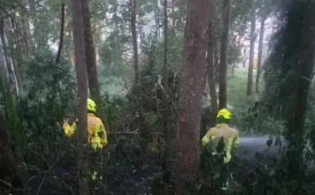 Apagaron incendio forestal en Medellín y un pirómano intentó prender fuego otra vez