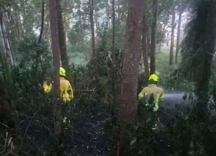 Apagaron incendio forestal en Medellín y un pirómano intentó prender fuego otra vez