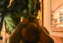 Cayó ‘Rottweiler’, señalado cabecilla