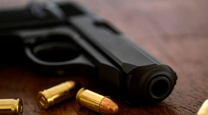 Vuelve el porte legal de armas