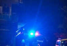Riña en concierto punk terminó en tragedia