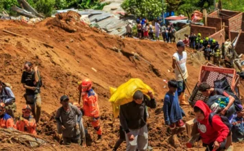 El Kraken de Medellín: la estrategia que busca salvar