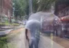 ¡Alerta en Medellín! Robos con escopolamina